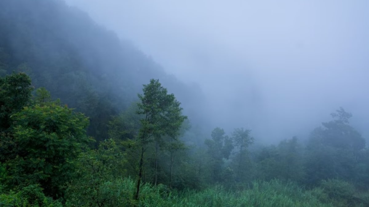 अगले 48 घंटों में पारा 2 डिग्री सेल्सियस गिरने के कारण बेंगलुरु में ठंडे दिन आने वाले हैं